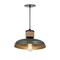 Maxim Lighting Bingham Small Pendant, June Bug 22492JU - alternate 1
